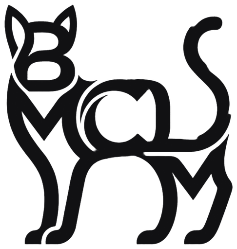 BMCLM Holdings LLC